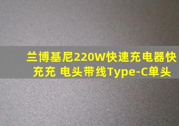 兰博基尼220W快速充电器快充充 电头带线Type-C单头